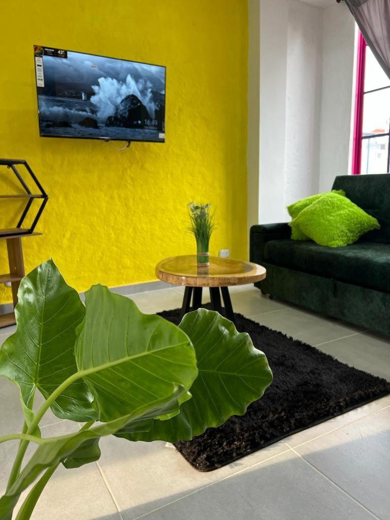 Apartment Astromelias