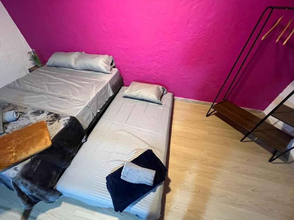 Apartment Astromelias